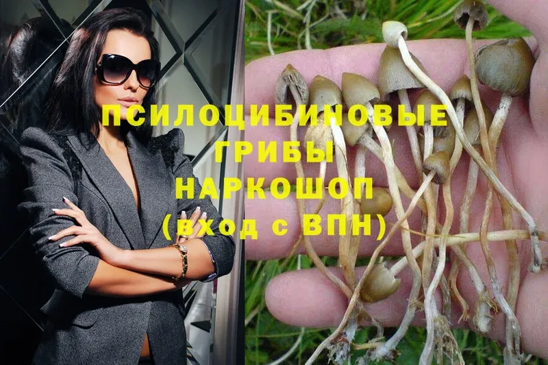 hydra вход  Лебедянь  Псилоцибиновые грибы Magic Shrooms 